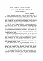 icon_article